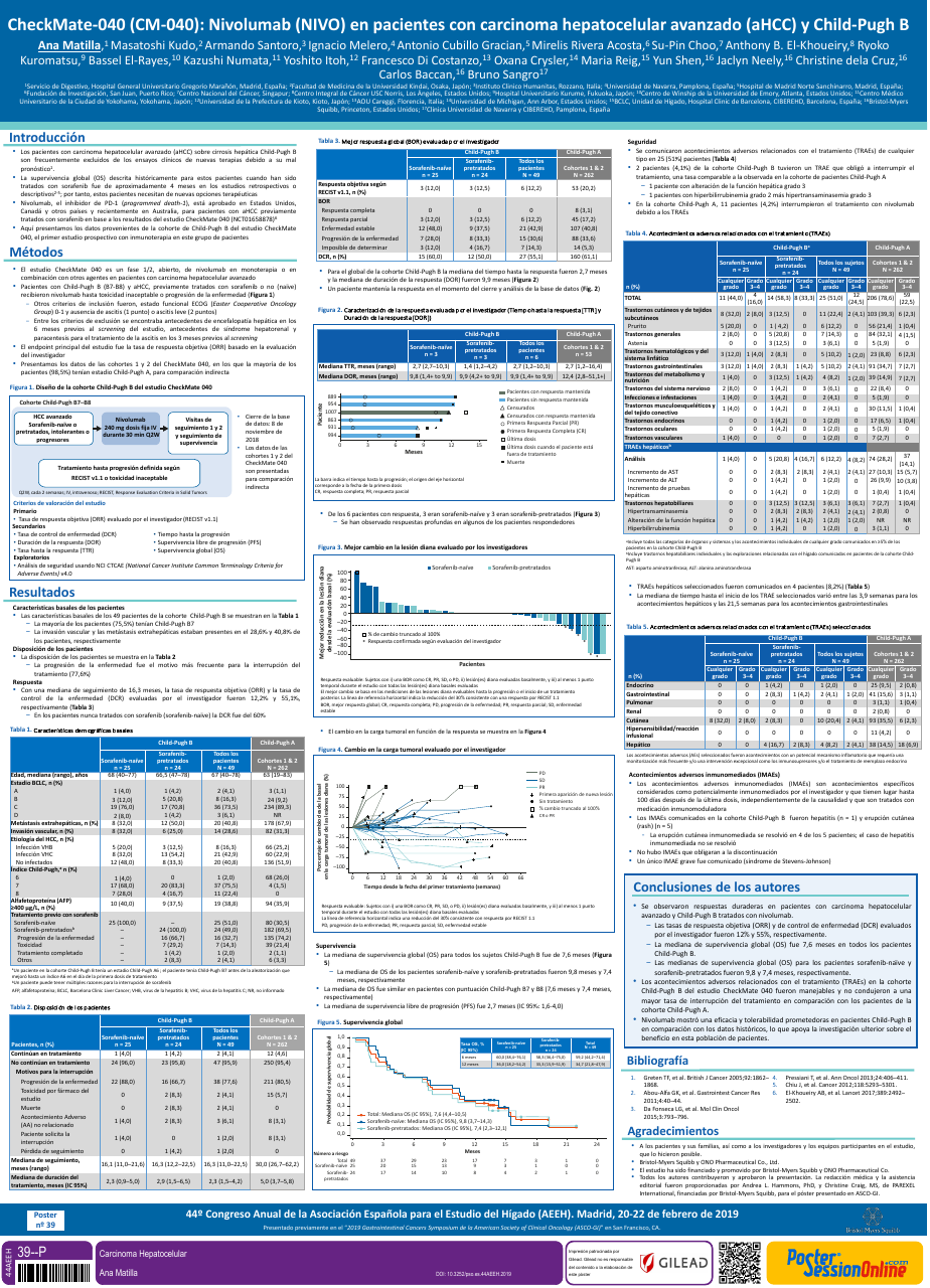 Ctcae 4 0 síntomas de hipertensión Ctcae 4 0 síntomas de hipertensión